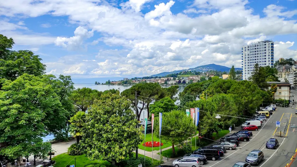 cars parked on parking lot near green trees under blue and white cloudy sky during daytime